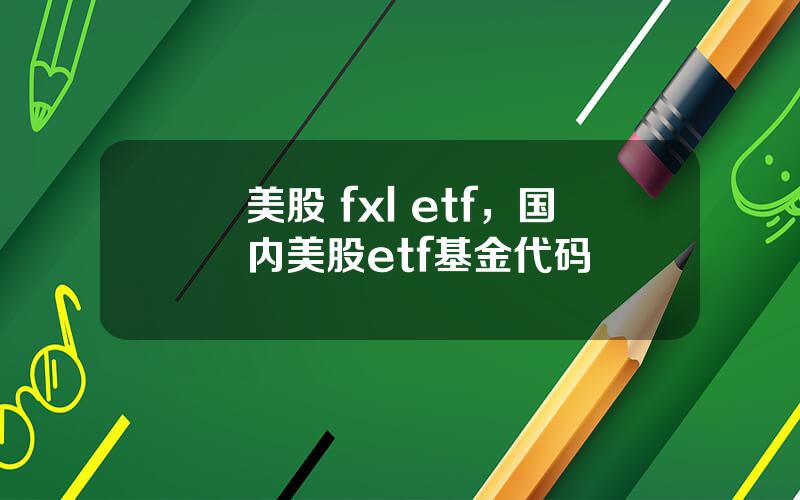 美股 fxl etf，国内美股etf基金代码